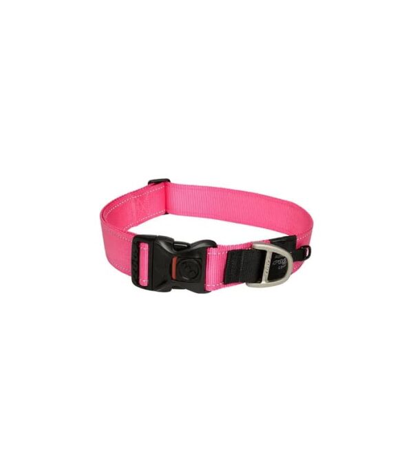Rogz Classic Dog Collar - Image 3