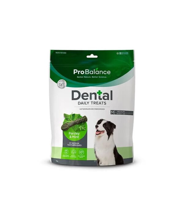 pet-product-dogs-treats-9-0.jpg Probalance Toothbrush Parsley & Mint - Image 1