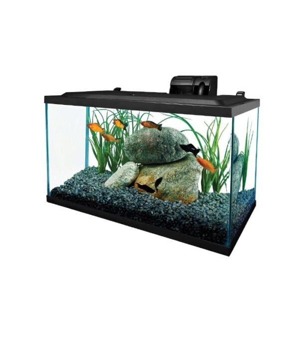 Tetra Glass Aquarium - Image 1