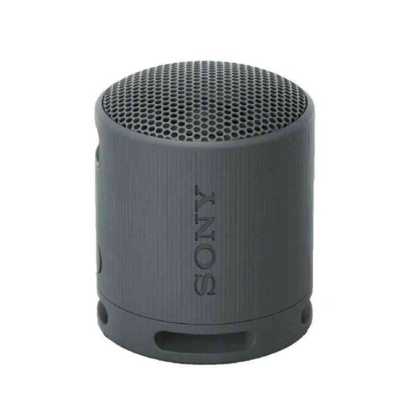 Sony SRS-XB100 Portable Wireless Speaker